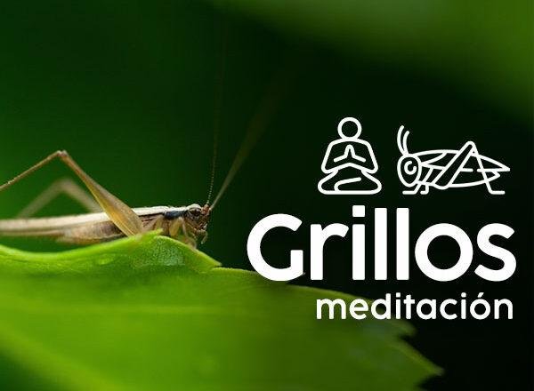 meditacion_grillos_serlab.jpg