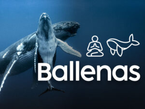 musica_ballenas_serlab.jpg