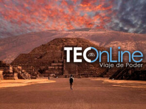 teo_online_viaje_de_poder_serlab.jpg